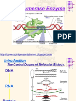 RNA - Polymerase 1 Class