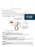 Earthworm (MRana 4th Note)