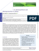 Hormonal Impact On Photosynthesis and Photoprotection in Plants