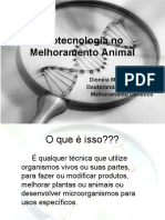 Biotecnologia no Melhoramento Animal