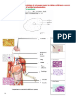 Chap 6 Activite Cellulaire Et Echanges Avec Le Milieu Corrige