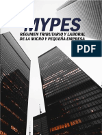 Libro de Mypes 2020