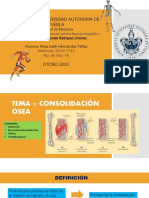 Tema 1 Consolidación Ósea. Exposicion