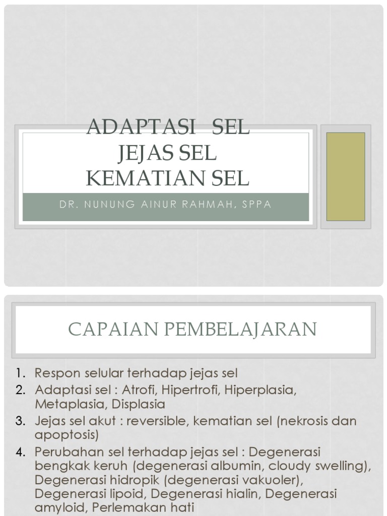 Adaptasi Dan Jejas Sel | PDF