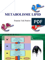 Metabolisme Lipid