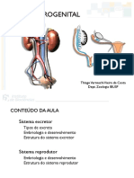 Sist Urogenital