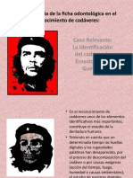 Caso Che Guevara