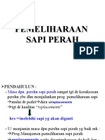 2-Pemeliharaan Anak-Pedet