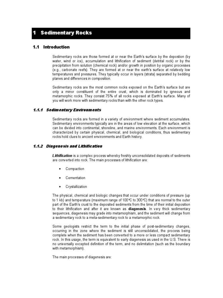 Basic Sedimentary and Petroleum Geology | PDF