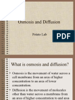 Osmosis and Diffusion: Potato Lab