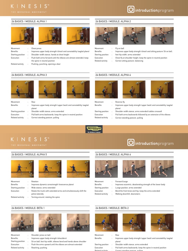 24 Basic Exercises for Strength Training | PDF | Arm | Anatomical Terms ...