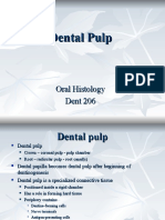 Dental Pulp