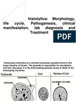 E.histolytica.المحاضرة الخامسة عملي طفيليات ثاني