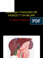 Anatomia y Fisiologia de Higado y Via Biliar