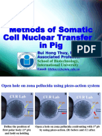 Part I B. Methods of Somatic Cell Nuclear Transfer in Pig