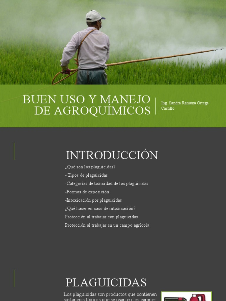 Buen Uso Y Manejo De Agroquímicos Pdf Pesticida Especialidades
