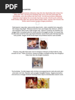 Download Kesihatan Hamster by Mohd Ilmi Ibrahim SN54923076 doc pdf