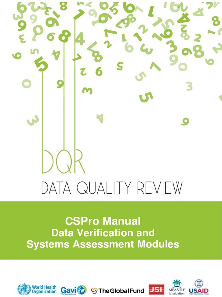WHO DQR Data Verification v1 0 Collection Tools CSPro Manual | PDF ...