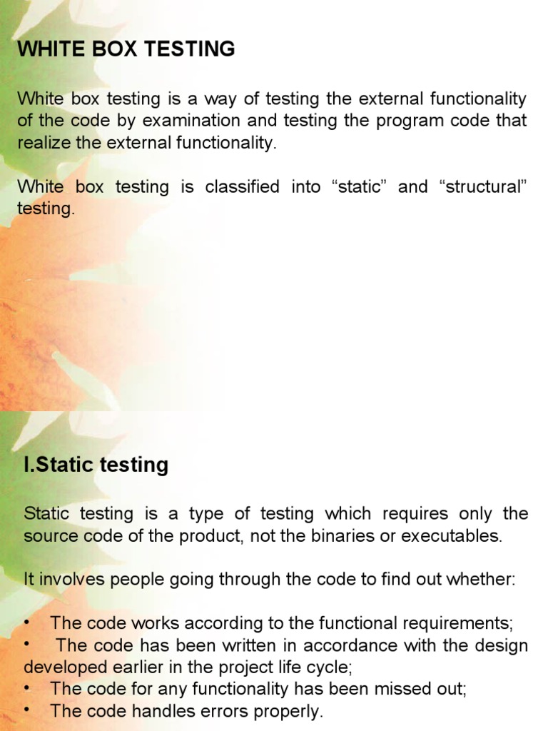 Static White Box Testing Overview | PDF | Software Testing | Source Code