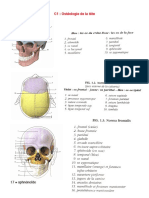 Chapitre 1 - Doc-Ostéologie Tête