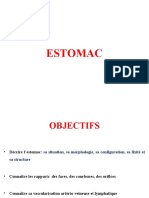 ESTOMAC