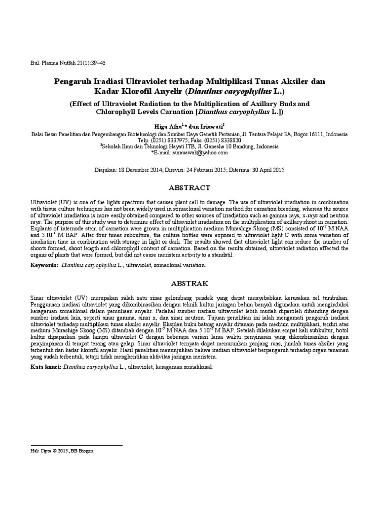 Pengaruh Iradiasi Ultraviolet Terhadap Multiplikasi Tunas Aksiler Dan