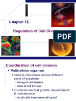 Regulation of Cell Division: AP Biology