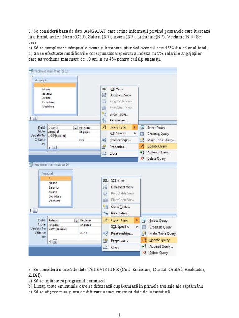 Baze de Date in ACCES | PDF