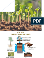 SOIL