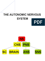 The Autonomic Nervous System