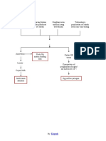 Pathway Anemia