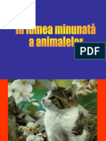 inlumeaminunataaanimalelor