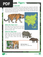 Tigers Differentiated Reading Comprehension Activity