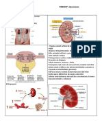 Microsoft Word - Imagenes Tema 3