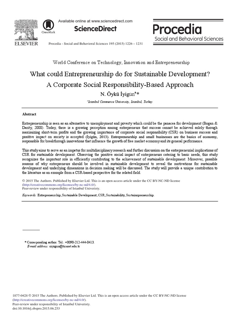 What Could Entrepreneurship Do For Sustainable Development | PDF ...