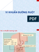 Vi khuẩn đường ruột