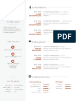 Plantilla Curriculum Vitae 3