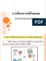 กระบวนการสังเคราะห์แสง