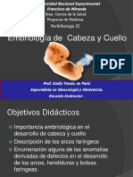 Embriologia Del Cuello y Cara