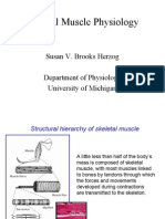 Skeletal Muscle Physiology: Susan V. Brooks Herzog Department of Physiology University of Michigan