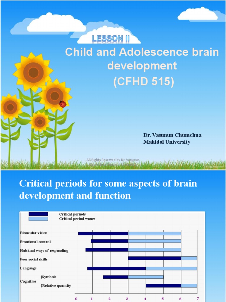 Child and Adolescence Brain Development | PDF | Adolescence | Brain