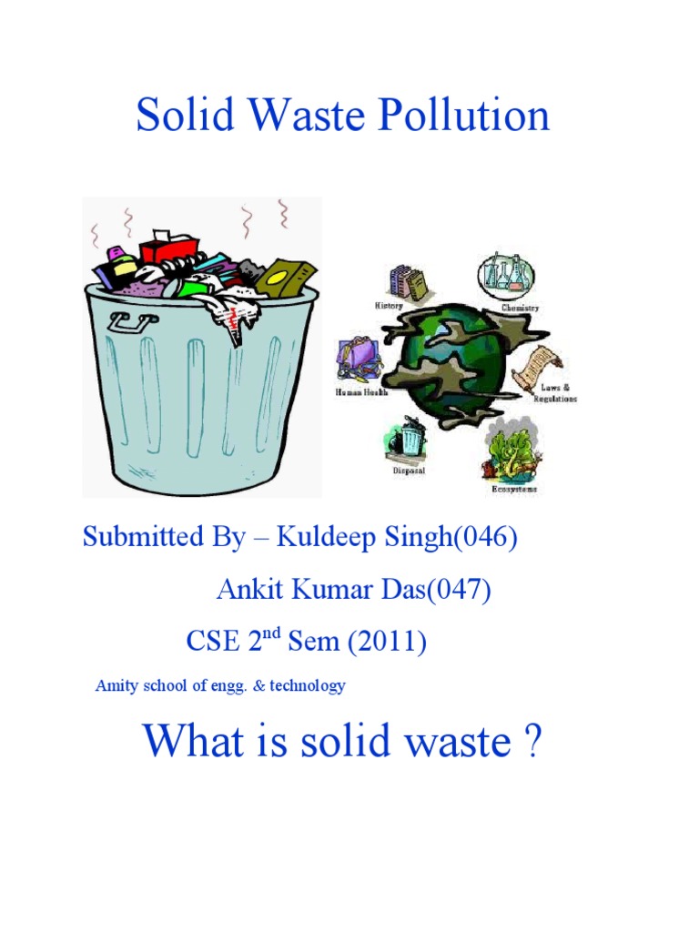 Understanding Solid Waste Pollution | PDF | Landfill | Waste