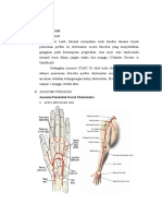 LP Acute Lim Ischemia