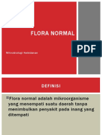 Flora Normal