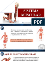 4 - Sistema Muscular Completo