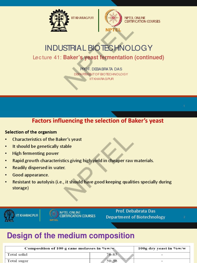 Baker's Yeast Fermentation Factors for Selection, Medium Design, and