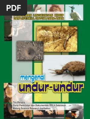 Mengenal Undur Undur