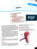 Functions and Anatomy of the Spleen