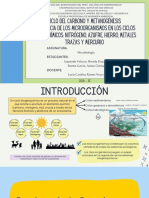 Ciclos Biogeoquímicos - Grupo 2