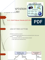 Cell Adaptation Cell Injury: DR Ia. Ratih Wulansari Manuaba, SPPD-KR, M.Kes, Finasim